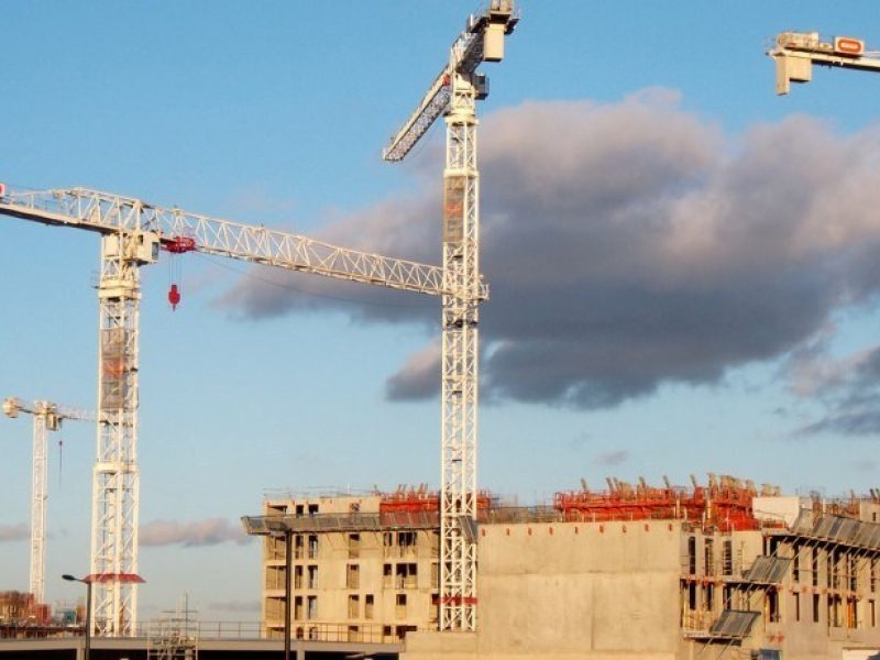 crane